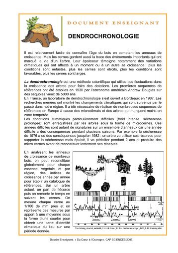 Fiche dendrochronologie en nÂ°3 - Cap Sciences