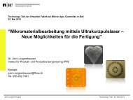 Mikromaterialbearbeitung mittels Ultrakurzpulslaser - Virtuelle Fabrik