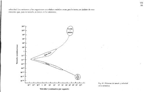 Autores_Humberto Maturana, Francisco Varela - El Arbol del Conocimiento