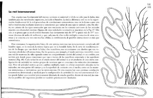 Autores_Humberto Maturana, Francisco Varela - El Arbol del Conocimiento