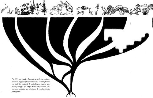 Autores_Humberto Maturana, Francisco Varela - El Arbol del Conocimiento