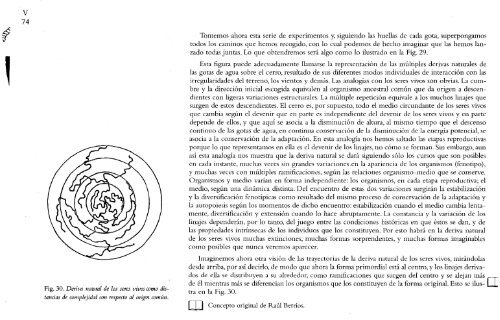 Autores_Humberto Maturana, Francisco Varela - El Arbol del Conocimiento