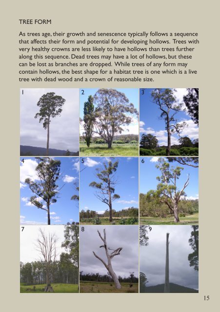 Tree hollows in Tasmania A guide - CRC for Forestry