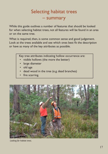 Tree hollows in Tasmania A guide - CRC for Forestry