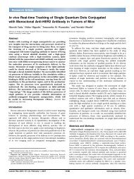 In vivo Real-time Tracking of Single Quantum Dots Conjugated with ...