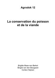 La conservation du poisson et de la viande - Anancy