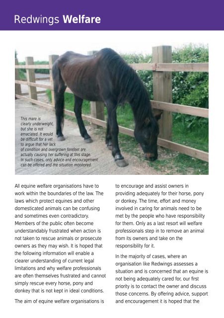 Equine Welfare and the Law - Redwings