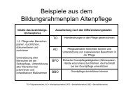 Beispiele aus dem Bildungsrahmenplan Altenpflege