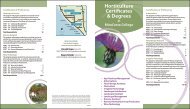 Horticulture Brochure - MiraCosta College