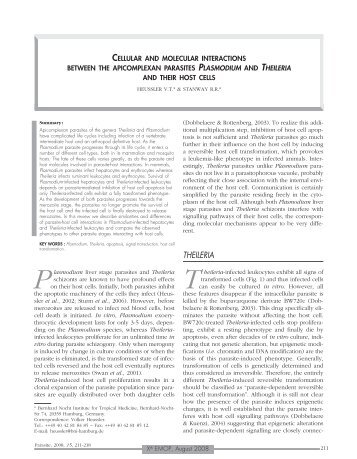 malaria & theileria host cell manipulation - Striepen.uga.edu