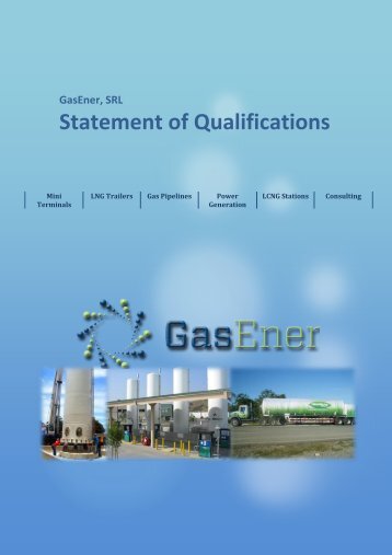 Gasener, SRL Statement of Qualifications