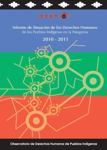 Informe 2010-2011 - odhpi.org