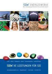 Dienstleistungskatalog (PDF Download) - star.Energiewerke GmbH ...