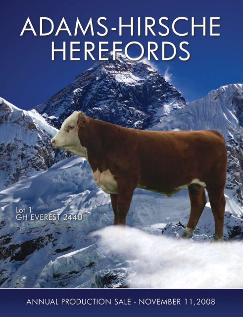 Hereford - Hirsche Herefords & Angus