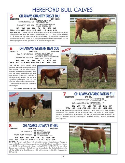 Hereford - Hirsche Herefords & Angus