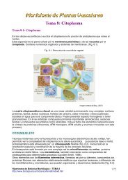 Tema 8: Citoplasma - Hipertextos del Ãrea de la BiologÃ­a