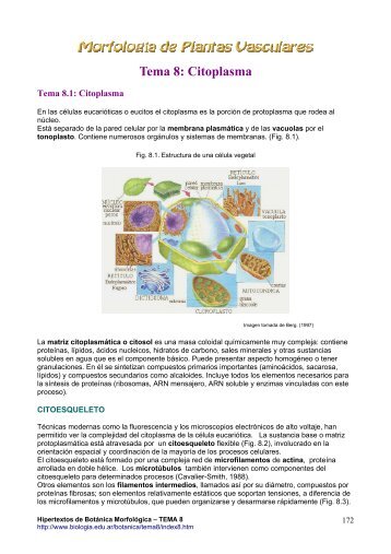 Tema 8: Citoplasma - Hipertextos del Ãrea de la BiologÃ­a