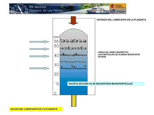 PRUEBAS, ANÁLISIS Y VALORES ADMISIBLES DE ...