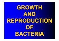 GROWTH AND REPRODUCTION OF BACTERIA