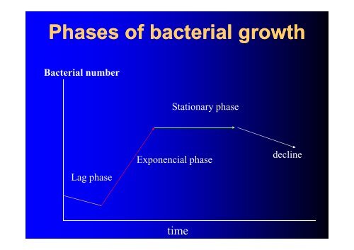 GROWTH AND REPRODUCTION OF BACTERIA