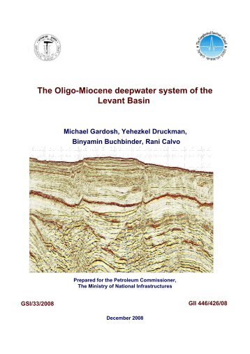 The Oligo-Miocene deepwater system of the Levant Basin