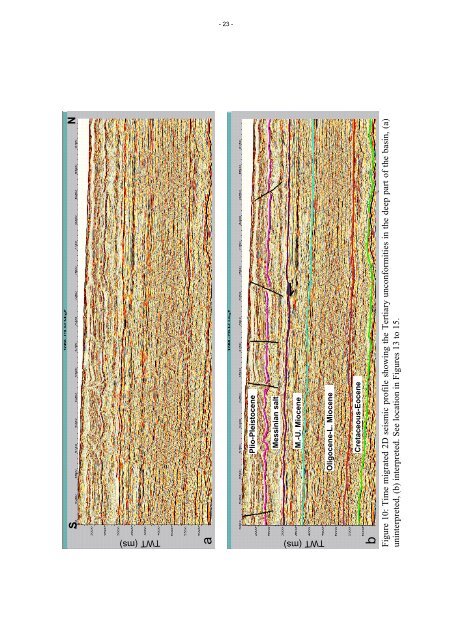 The Oligo-Miocene deepwater system of the Levant Basin