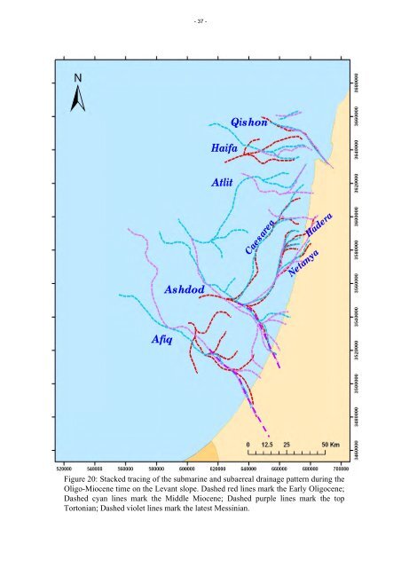 The Oligo-Miocene deepwater system of the Levant Basin