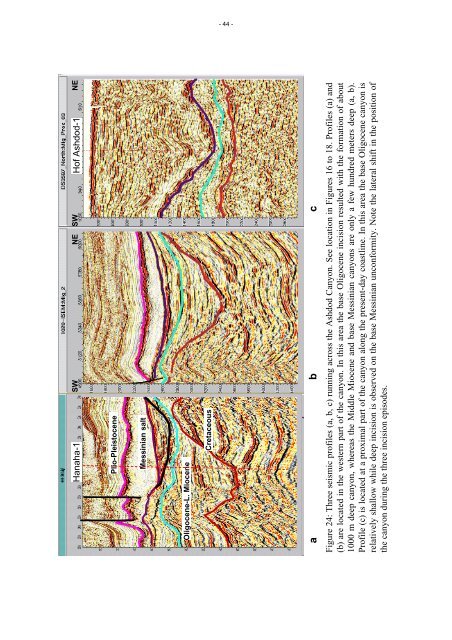 The Oligo-Miocene deepwater system of the Levant Basin