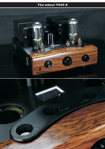 The mdoel T845-S - audio alchemy