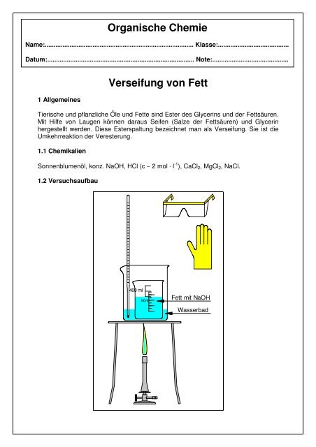 Verseifung Fett - Adam Vollmer