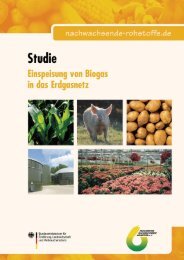 Studie Einspeisung von Biogas in das Erdgasnetz - Agentur für ...
