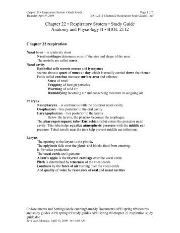 chapter 22 respiration study guide