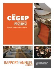 Rapport annuel 2010-2011 - CÃ©gep de Granby â Haute-Yamaska