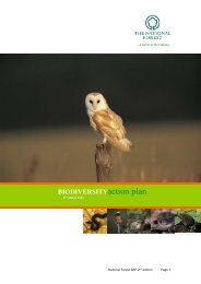 Biodiversity Action Plan 2004 - The National Forest Company