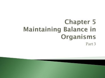 Chapter 5 Maintaining Balance in Organisms