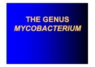 THE GENUS MYCOBACTERIUM - LF