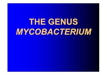 THE GENUS MYCOBACTERIUM - LF