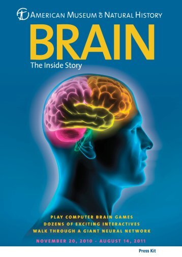 Brain: The Inside Story - Parque de las Ciencias