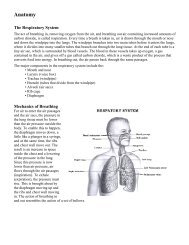 Anatomy & Physiology Study.pdf - All Stars Self Defence Centres