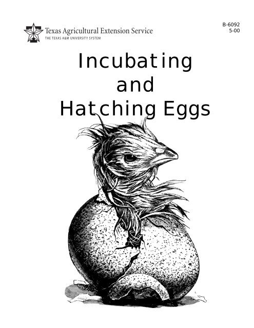 Incubating and Hatching Eggs - Aggie Horticulture - Texas A&M ...