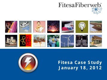 Fitesa Case Study January 18, 2012