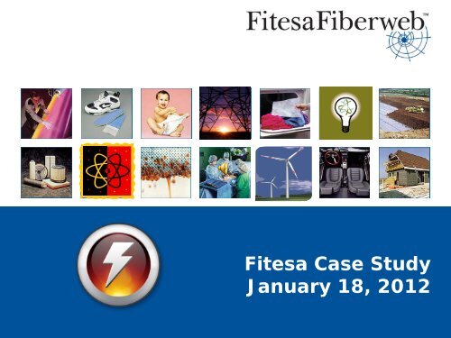 Fitesa Case Study January 18, 2012