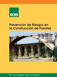 PrevenciÃ³n de riesgos en la construcciÃ³n de puentes - Sigweb