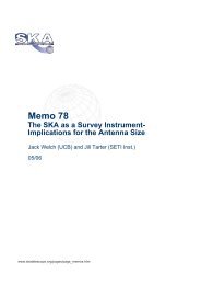 Memo 78 The SKA as a Survey Instrument