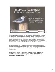 The Project FeederWatch - Cornell Lab of Ornithology