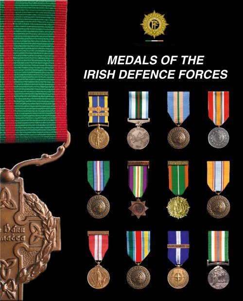 Irische Zivilschutz lange Service Medal mit Ribbon seirbhis fhada
