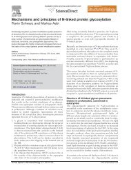 Mechanisms and principles of N-linked protein glycosylation - EPFL