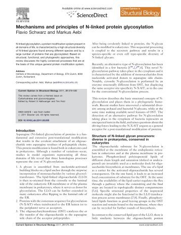 Mechanisms and principles of N-linked protein glycosylation - EPFL