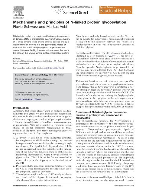 Mechanisms and principles of N-linked protein glycosylation - EPFL