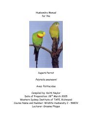 Superb Parrot - Nswfmpa.org